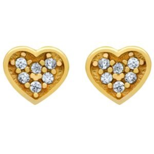 Breathtaking Heart Earrings